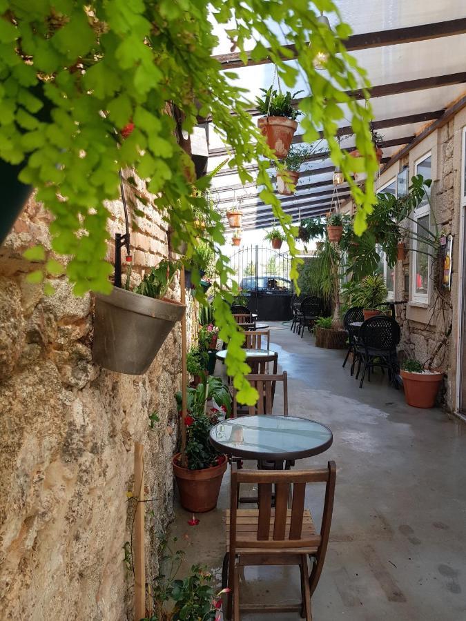 Garden Place Alojamento Local 维塞乌 外观 照片